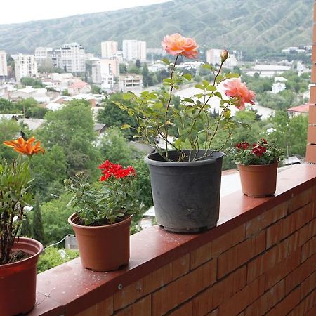 My House Is Your Hotel Tbilisi Værelse billede